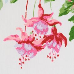 pink flowers and green leaves on a white background with red berries hanging from the stems