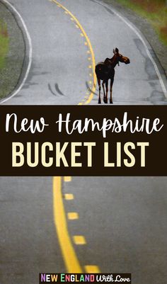 a horse walking down the road with text reading new hampshire bucket list