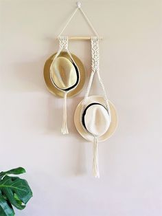 two hats are hanging on the wall next to a potted plant