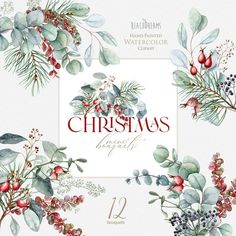 watercolor christmas clipart with holly and berries