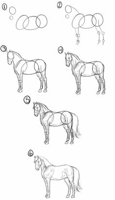 how to draw a horse step by step