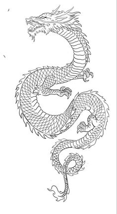 a drawing of a dragon on a white background