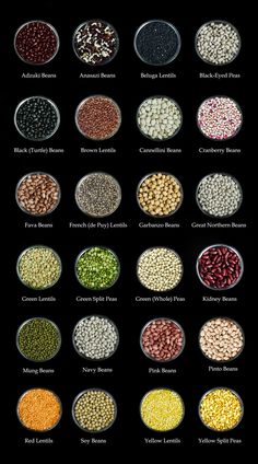 different types of beans in bowls on a black background with the names and description below