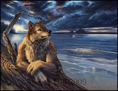 a painting of a wolf sitting on the beach