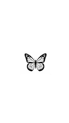 a black and white photo of a butterfly