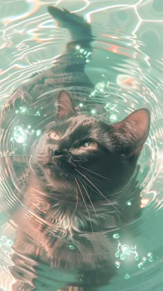 a cat is swimming in the water with its head above the water's surface