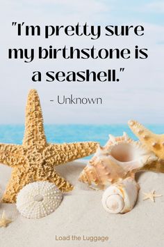 seashells and starfish on the beach with a quote from unknown author, i'm pretty sure my prinstone is a seashell