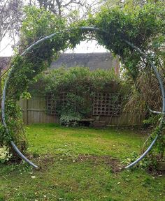 an outdoor garden with a circular trellis in the center and green grass around it