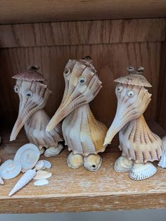 three seagulls are sitting on a shelf next to shells and seashells