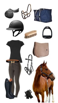 several different types of equestrian equipment and accessories