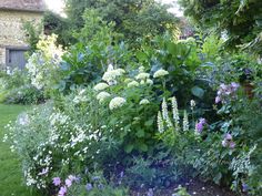 the garden is full of different types of flowers and plants, including white hydrangeas