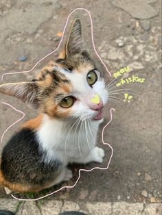 a calico cat looking up at the camera with its mouth open and yellow sticker on it's nose