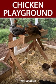 chickens are sitting in their coop with the words chicken playground written below them on top