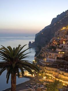 the city lights are lit up at night by the water's edge, with palm trees in front of it