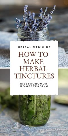 Herb Tinctures, Health Herbs, Tinctures Recipes, Magia Das Ervas, Taking Care Of Yourself