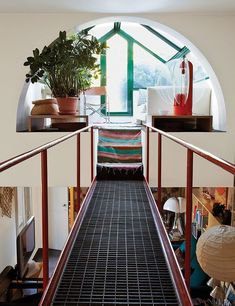 a hallway leading to a living room with a plant on the far wall and an open window