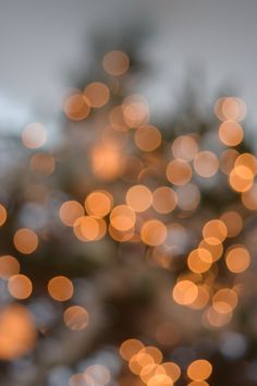 blurry lights are seen in the background of this photo, as well as trees and buildings