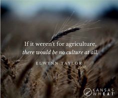 an image of a field with the quote if it weren for agriculture, there would be no culture at all