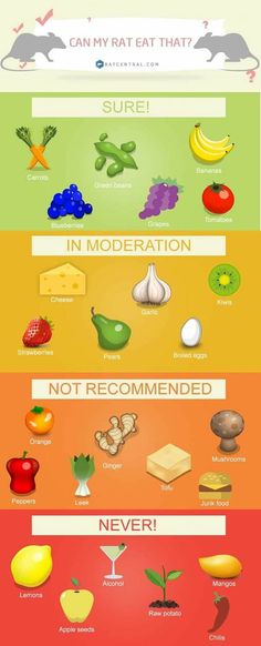 the different types of fruits and vegetables are shown in this graphic diagram, which shows how they