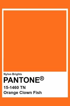 an orange color is shown with the name pantonee in white and black on it