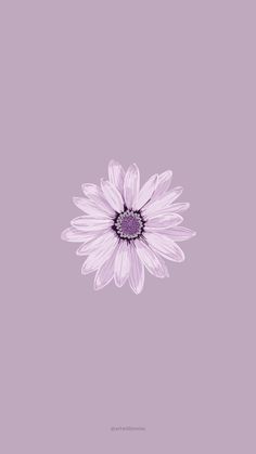 a white flower with purple centers on a light purple background in the middle of the image