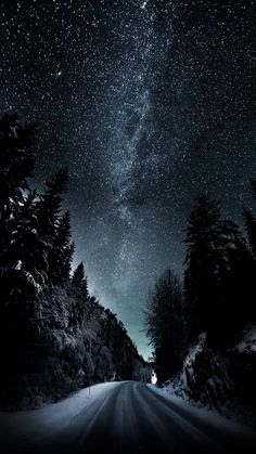 the night sky is filled with stars above trees and snow covered roads in wintertime