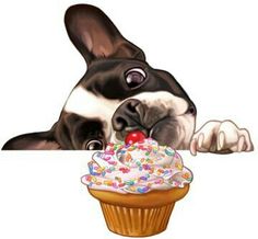 a black and white dog looking at a cupcake with sprinkles on it