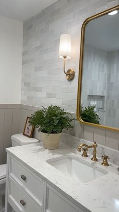 a bathroom with a toilet, sink and mirror in it's corner area next to a potted plant on the counter