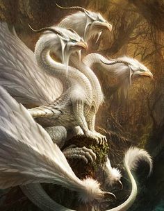 two white dragon sitting on top of a rock