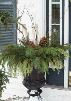 a potted plant sitting on top of a snow covered ground next to a door