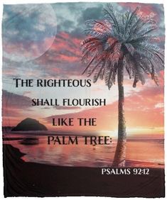 the righteous shall flourish like the palm tree