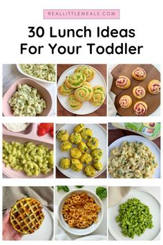 the top ten lunch ideas for your toddler