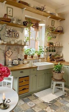 a kitchen filled with lots of counter top space and plants on the shelves over the sink