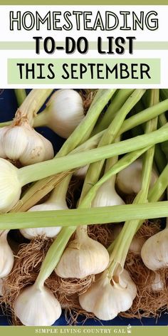 onions and garlic on a blue plate with text overlay reading homestading to - do list this september