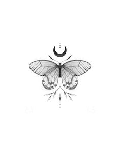 a black and white drawing of a butterfly with the moon in the sky above it