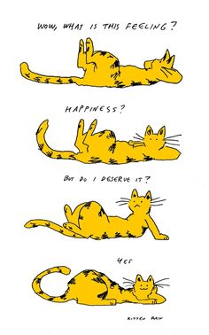 three yellow cats laying down with the caption'why what if this feeling? happiness? but do i receive it? '