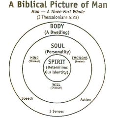 a diagram with the words, body and soul in it