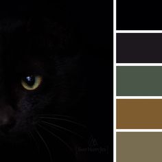 Earthy Color palette inspired by this black cat image. Character Palette, Design Seeds Color Palette, Seeds Color Palette, Black Cat Images, Blending Board, Seeds Color, Black Jaguar, Earthy Color Palette