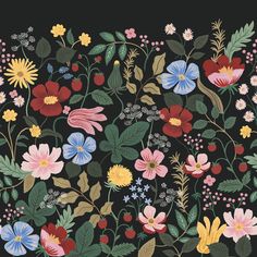 an image of flowers and leaves on a black background with red, yellow, blue, pink