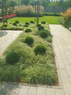 a garden with lots of green grass and bushes