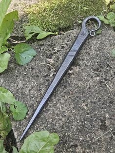 an old pair of scissors laying on the ground next to some green leaves and grass