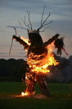 a fire sculpture is shown in the middle of a field