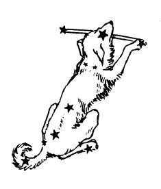 a black and white drawing of a dog with stars on it's back legs