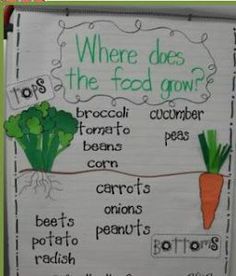 a bulletin board with carrots and broccoli written in green on white paper