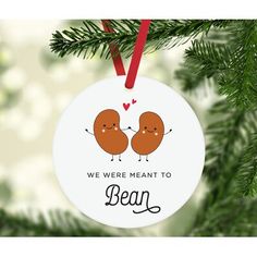 we were meant to bean ornament