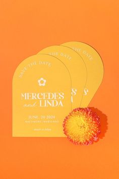 save the date cards and flower on an orange background