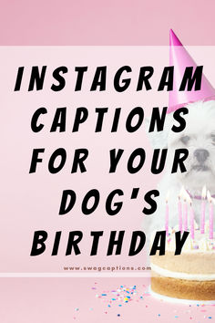 Celebrate your furry friend's special day with these adorable Dog's Birthday Instagram Captions. From wagging tails to treats and cake, let's capture the moments that truly matter. 🍰🐾 Birthday Wishes For Dog Pets Quotes, Happy Birthday To Dog Quotes, Dog Birthday Sayings, Dog Bday Captions, Happy Birthday Dog Insta Story, Gotcha Day Quotes Dog, Dog Birthday Post Instagram, Dog Gotcha Day Quotes, Happy Gotcha Day Dog Quotes