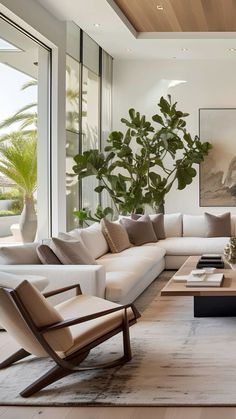 a living room filled with lots of furniture and large plants in the window sill