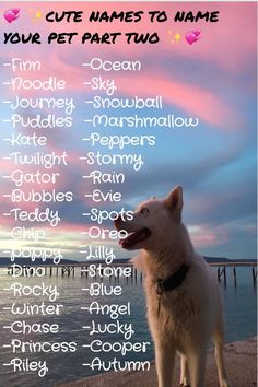 here are some more cute names to name your petagainthey're supposed to be for dogsbut you can use these for any petlemme know if u want a part 3😊💕✨ Lemme Do It For You Dog, Beach Dog Names, Cute Dogs Name, Preppy Dog Names, Pet Names For Girlfriend, Creative Dog Names, Pet Names For Dogs