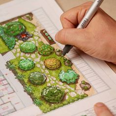 someone is drawing a garden design on paper